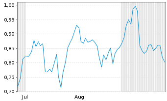 Chart Mini Future Short Salzgitter - 6 Months