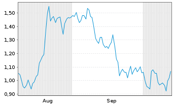 Chart Mini Future Short Palantir - 6 Months