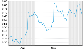 Chart Mini Future Long Puma - 6 Months