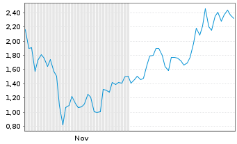 Chart Mini Future Long Tesla - 6 Monate