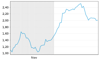 Chart Mini Future Long Volkswagen - 6 Monate