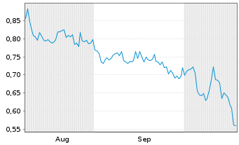 Chart Mini Future Long Borussia Dortmund - 6 Monate