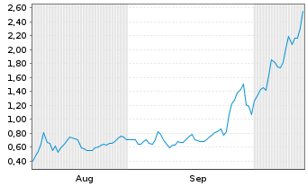 Chart Mini Future Long Standard Lithium - 6 Monate