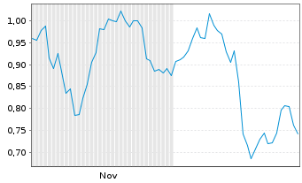 Chart Mini Future Short Muenchener Rueck - 6 Monate