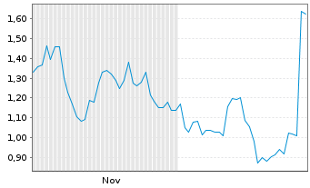 Chart Mini Future Short Nike - 6 Monate
