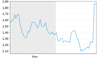 Chart Mini Future Short Nike - 6 Monate