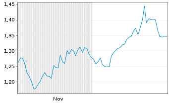 Chart Mini Future Short Shell - 6 Monate