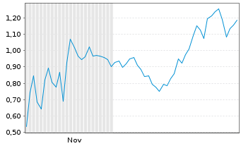 Chart Mini Future Short Super Micro Computer - 6 Monate