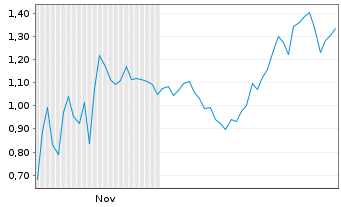 Chart Mini Future Short Super Micro Computer - 6 Monate