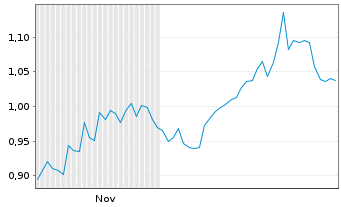 Chart Mini Future Short Shell - 6 Monate