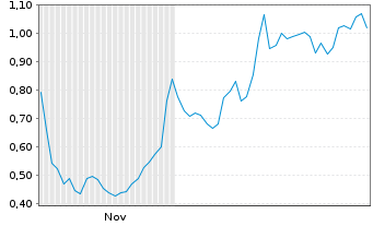 Chart Mini Future Long Delivery Hero - 6 Monate