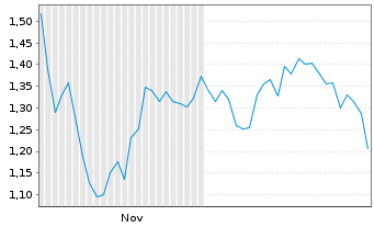 Chart Mini Future Long IBM - 6 Monate