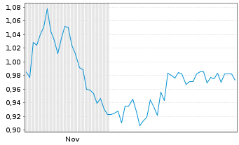 Chart Mini Future Short Borussia Dortmund - 6 Monate
