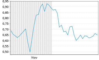 Chart Mini Future Long IBU-tec advanced materials - 6 Monate