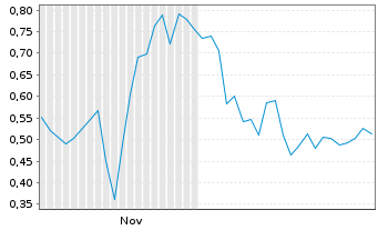 Chart Mini Future Long IBU-tec advanced materials - 6 Monate