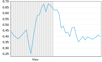 Chart Mini Future Long IBU-tec advanced materials - 6 Monate