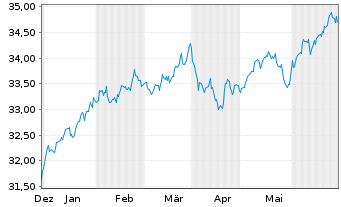 Chart XT-MSCI W.M.V.E 1CDLA USD - 6 mois
