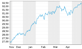 Chart Amu.S&P 500 CL.N.Z.AMB.P USD - 6 mois