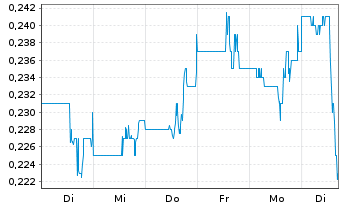 Chart Canadian Gold Corp. - 1 Woche