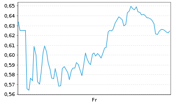 Chart Mini Future Long Schaeffler - 1 semaine