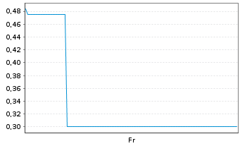 Chart Mini Future Long Schaeffler - 1 semaine