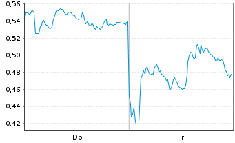 Chart Mini Future Short Shell - 1 semaine