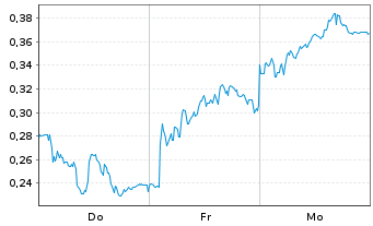 Chart Mini Future Short Puma - 1 semaine