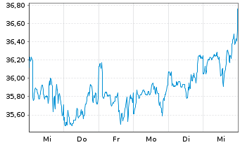 Chart XT-MSCI W.M.V.E 1CDLA USD - 1 semaine