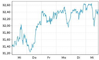 Chart Amu.S&P 500 CL.N.Z.AMB.P USD - 1 semaine