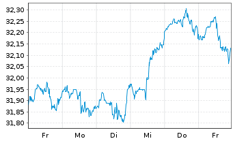 Chart Amu.S&P 500 CL.N.Z.AMB.P USD - 1 Week