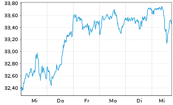 Chart F.Tem.Inv.Fds-Templ.Global Fd. Nam.-A. A(Ydis.)oN. - 1 semaine